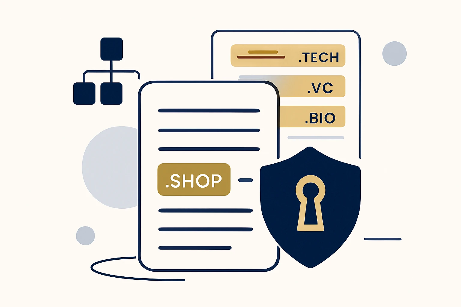 Niche TLD Lists: A Practical Framework for Confidential Domain Acquisition